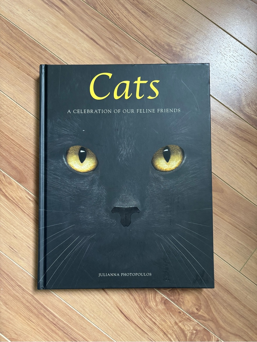 Cats // Coffee Table Book